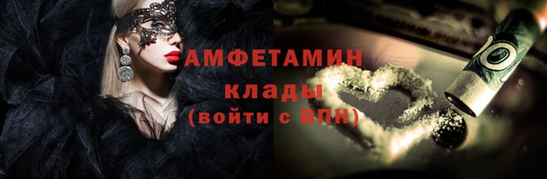 индика Алзамай