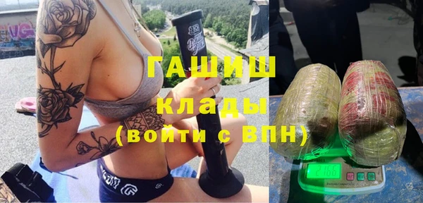 индика Алзамай