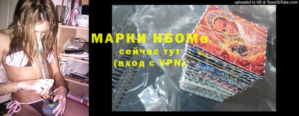 индика Алзамай