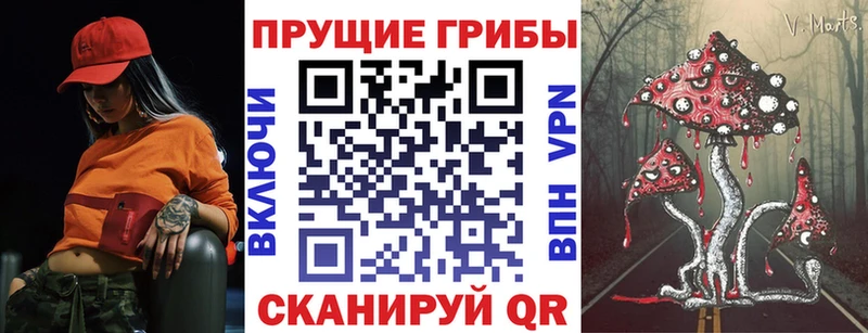 купить наркотики сайты Юхнов Псилоцибиновые грибы мухоморы